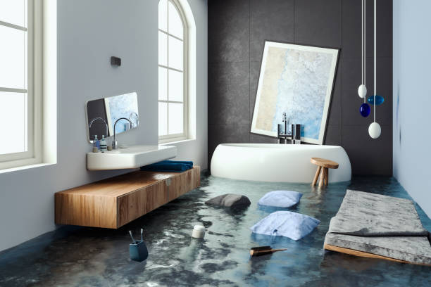Best Flooded house restoration  in Forest City, NC
