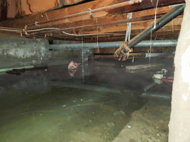 Best Water damage restoration near me  in Forest City, NC