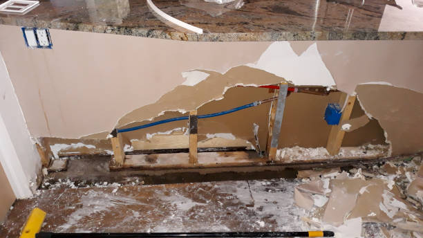 Best Carpet water damage restoration  in Forest City, NC