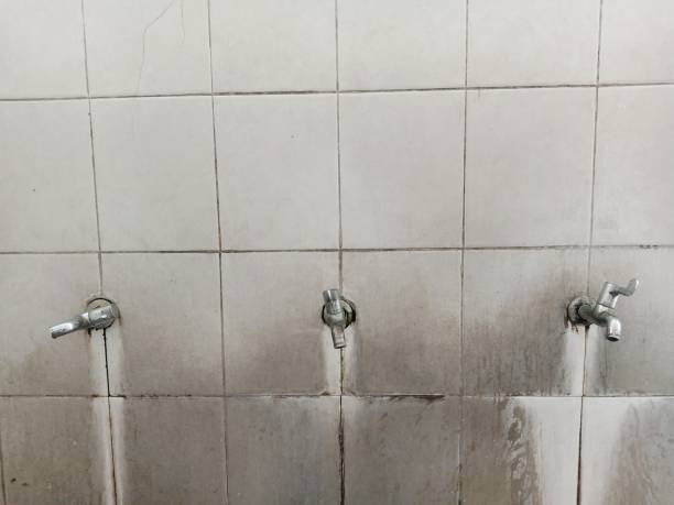 Best Water damage cleanup near me  in Forest City, NC