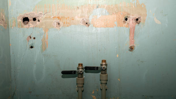 Best Sewage cleanup and water damage restoration  in Forest City, NC