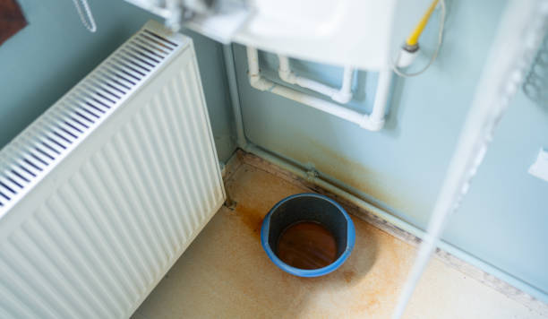 Best Fire Damage Restoration  in Forest City, NC