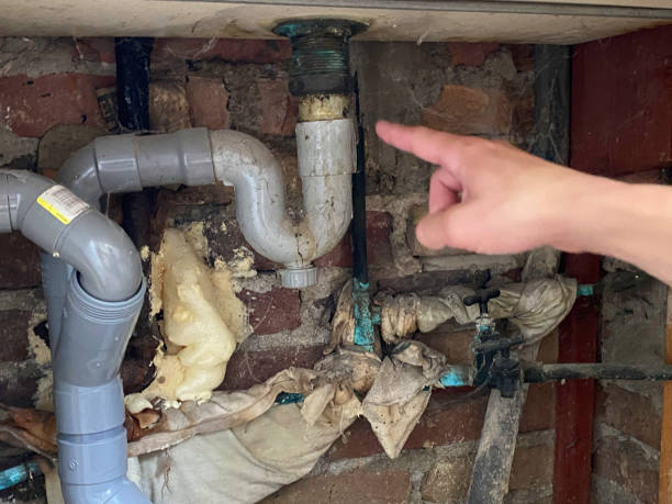 Best Local water damage restoration  in Forest City, NC